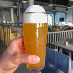 Medium Omnipollo Pint Gold Rim Glass